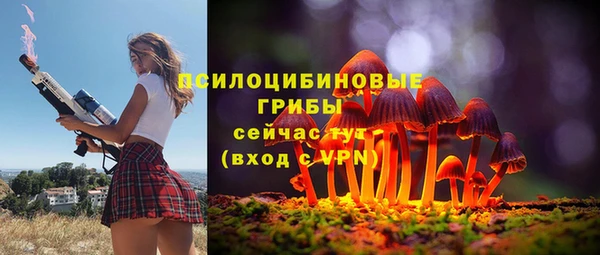 прущая мука Вязьма
