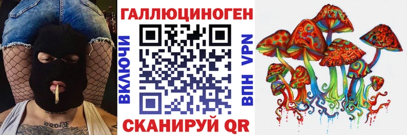 Купить  Порхов  Галлюциногенные грибы Magic Shrooms 